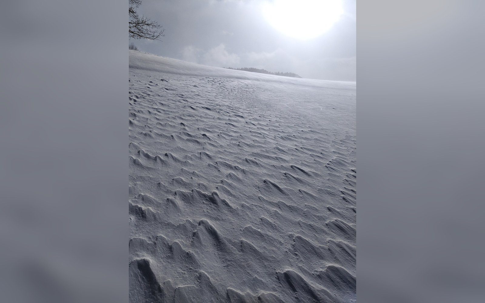 A wind-scoured slope of sastrugi and bare ice, an adult figure leaning into the wind